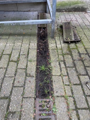Verstopfte Entwässerungsrinne in einer Einfahrt
